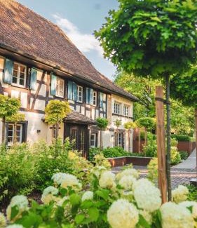 Steinbrunn-le-Bas Cama Y Desayuno | Domaine du Kaegy - Hébergements 5 étoiles