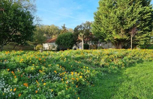 Chatillon-sur-Marne Cama Y Desayuno | Domaine du Moulin de l'Etang
