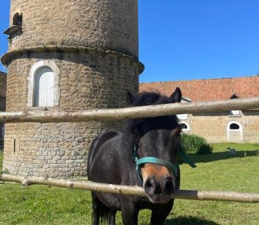 Hesdin-l'Abbe Casa | Domaine du SAAJ Côte Opale 8 personnes