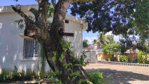 Sava Casa | Domaine Fahasoavana