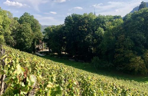 Nevy-sur-Seille Casa | Domaine GUIET