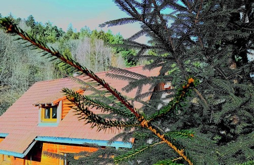 Soultzeren Chalet De Esquí | Domaine les lodges nature,private wellness, chalet de luxe en pleine nature