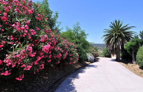 Cargese Casa | Domaine Saint Pierre