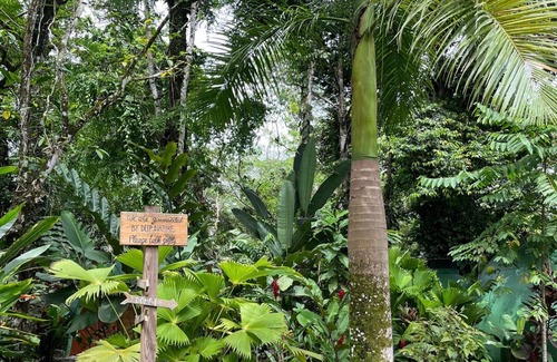 Big Creek Casa | Dome shaped bungalow in a lush tropical forest, steps away from ocean views.