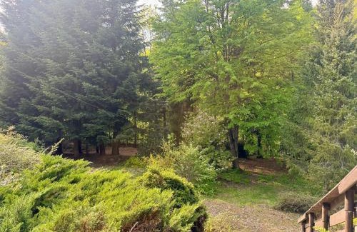 Tresna Casa | Domek "Biała oaza"