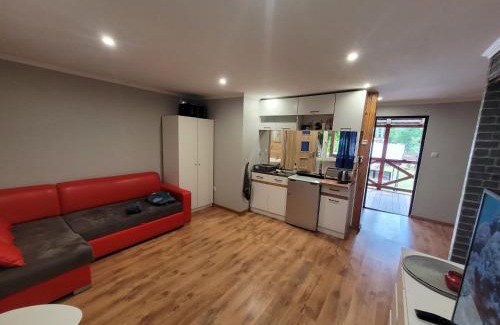 Blanki Casa | Domek Drewniany w Dolinie Symsarny