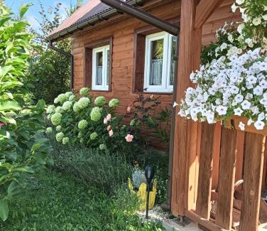 Ustrzyki Dolne Cabina | Domek Gajowego