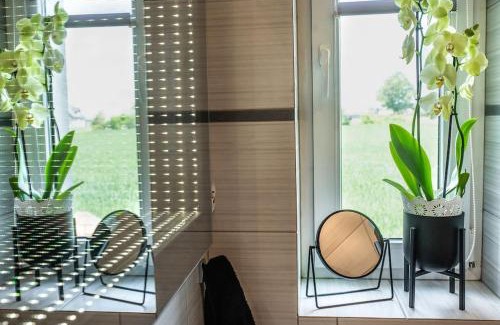gmina Strzakowo Casa | Domek Gościnny Czempion