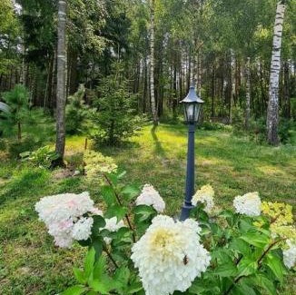 Myszyniec Casa | Domek letniskowy