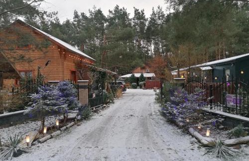 Radziejowice Otro | Domek Modern Barn 1 Całoroczny 800m od Park Wodnego Suntago Ranczo Gold Mania