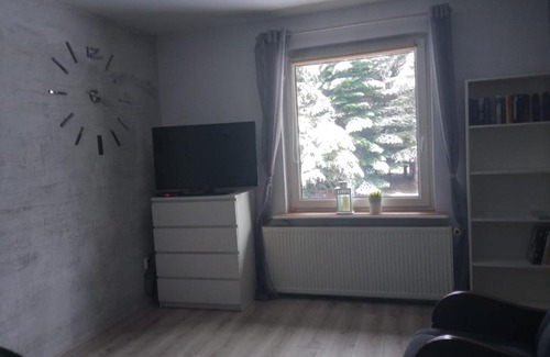 Stara Kiszewa Apartamento | Domek na Kaszubach