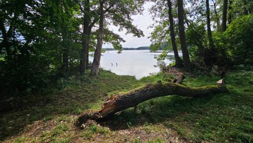 Osetno Casa | Domek na wypoczynek na wyłączność