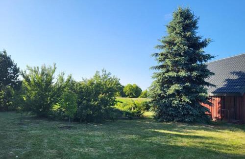 Sochocin Chalet De Esquí | Domek nad Wkrą, okolice Sochocina, kajaki