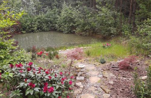 gmina Pniewy Casa | Domek w lesie
