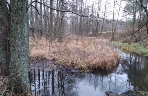 gmina Sidra Casa | Domek w Zakątku Andrzeje Śniczany 18