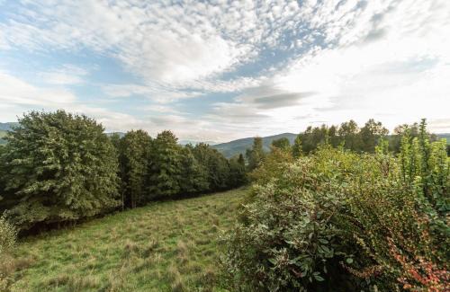 Czernichow Casa | Domek Widok