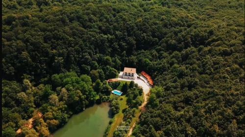 Savarsin Cabina | Domeniul Caprioara