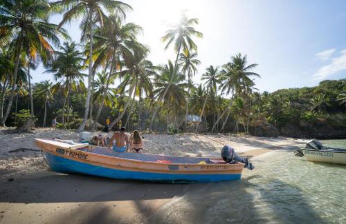 Samana Complejo | Dominican Tree House Village