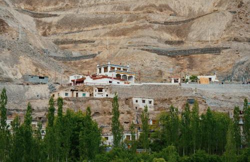 Tingmosgang Casa | Domkhar Eco Homestay