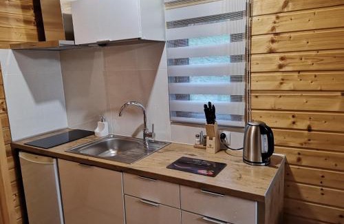 Solina Cabina | Domki na Słonecznej 512-935-030