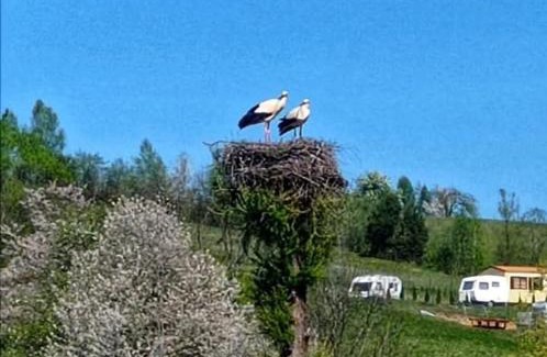 Bukowiec Casa | Domki Nad Bocianim Gniazdem