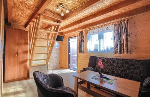 Solina Chalet De Esquí | Domki nad Soliną CZARNY KOT 509-797-777