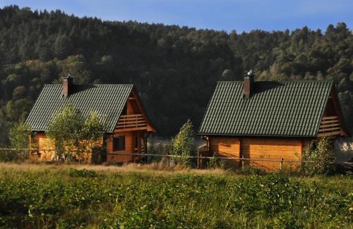 Olchowiec Cabina | Domki nad Soliną