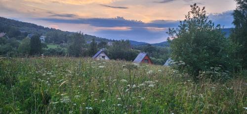 Cisna Casa | Domki Obertyny