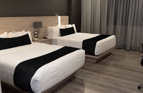 Centro de Querétaro Hotel | Domun Hotel