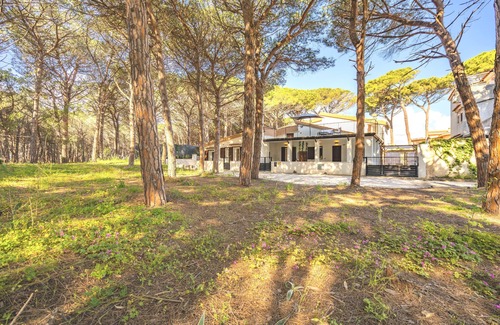 Santa Lucia Apartamento | Domus Lucia 3