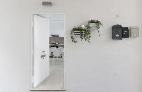 Caserta Apartamento | Domy House