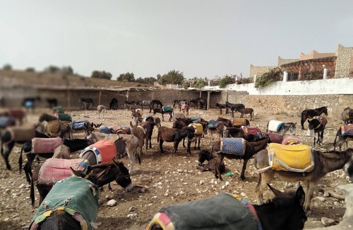 Aguerd Casa | DonkeyVillage