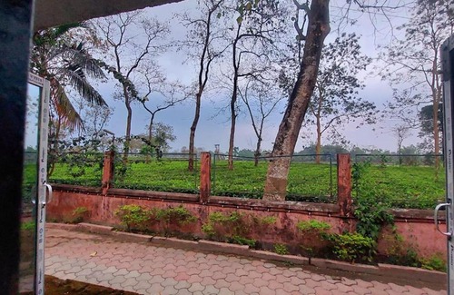 Neora Casa | Dooars Panorama Nature's Nest