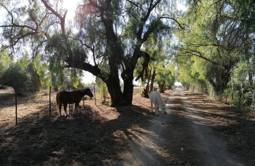 Inxuba Yethemba Otro | Doornfontein Guest Farm