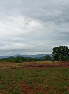Wellawaya Otro | DOP Camp Site Resort