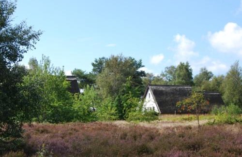 Hiddensee Apartamento | Doppelhaushälfte in Vitte auf Hiddensee