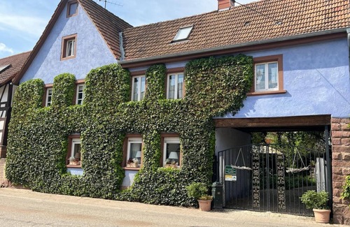 Silz Apartamento | Doppelzimmer - Schönbachhof
