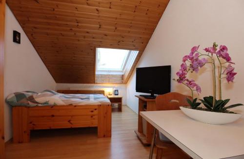Todtmoos Casa | Doppelzimmer Schwarzwaldharmonie mit gem. Küche