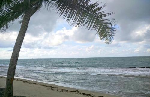 Dorado del Mar Apartamento | Dorado Beach Condo
