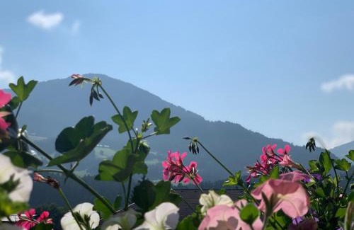 Reith im Alpbachtal Apartamento | Dorfjuwel Alpbachtal