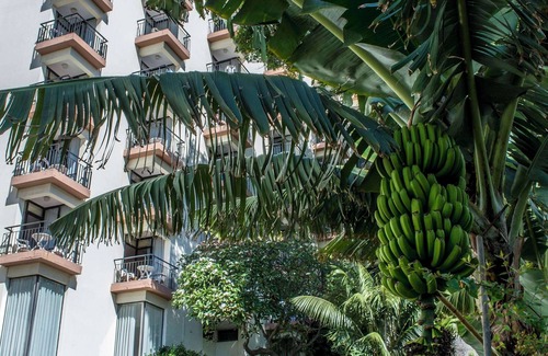 Sao Martinho Apartamento | Dorisol Mimosa Studio Hotel