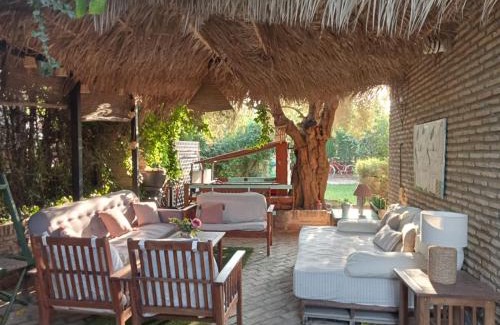 Dos Hermanas Apartamento | Dormir entre limones, Casa de invitados en vivienda familiar