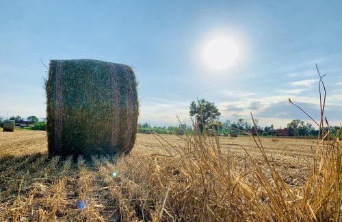 Savigliano Casa | DorMire