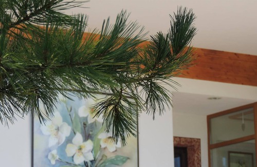 Oberau Casa | Double room - Gasthof Schneerose