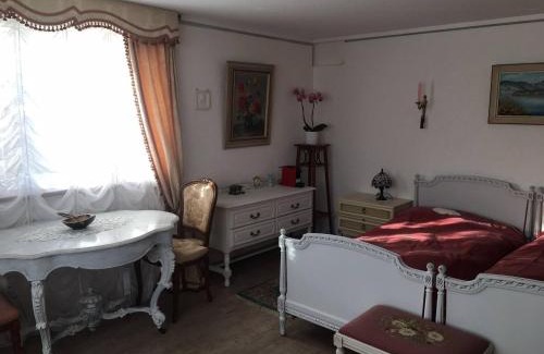 Brugg Casa | Double room in nice house near the forest (basement floor)