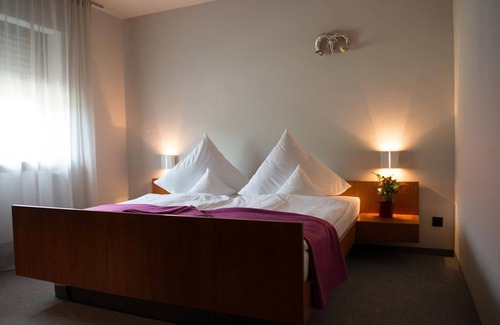 Warmensteinach Casa | Double room, shower or bath, WC, balcony - Hotel Restaurant Brigitte