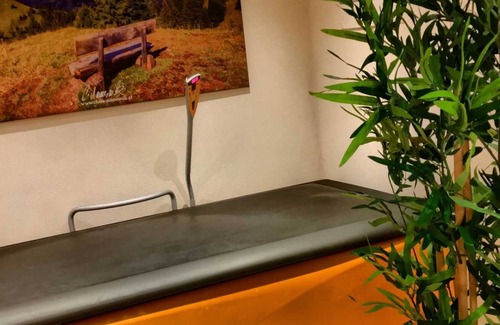 Nesselwaengle Apartamento | habitación doble con balcón - Apartamentos y Pensiones Mariandl
