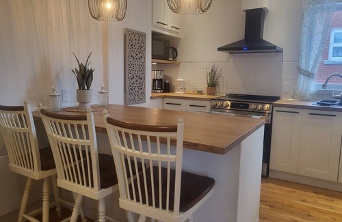 Rosemont-La Petite-Patrie Condominio | Double Terrasse · Borne Arcade · BBQ · Proche Bus