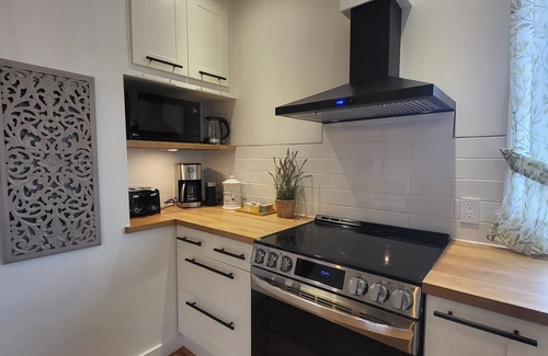 Rosemont-La Petite-Patrie Condominio | Double Terrasse · Borne Arcade · BBQ · Proche Bus