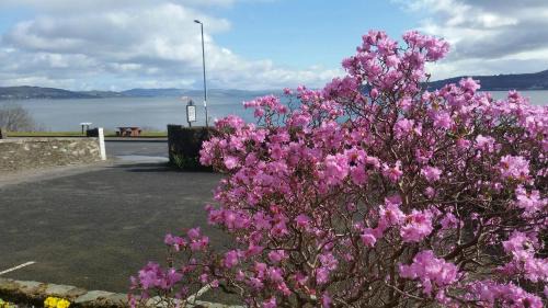 Kilmun Cama Y Desayuno | Douglas Park Guest House
